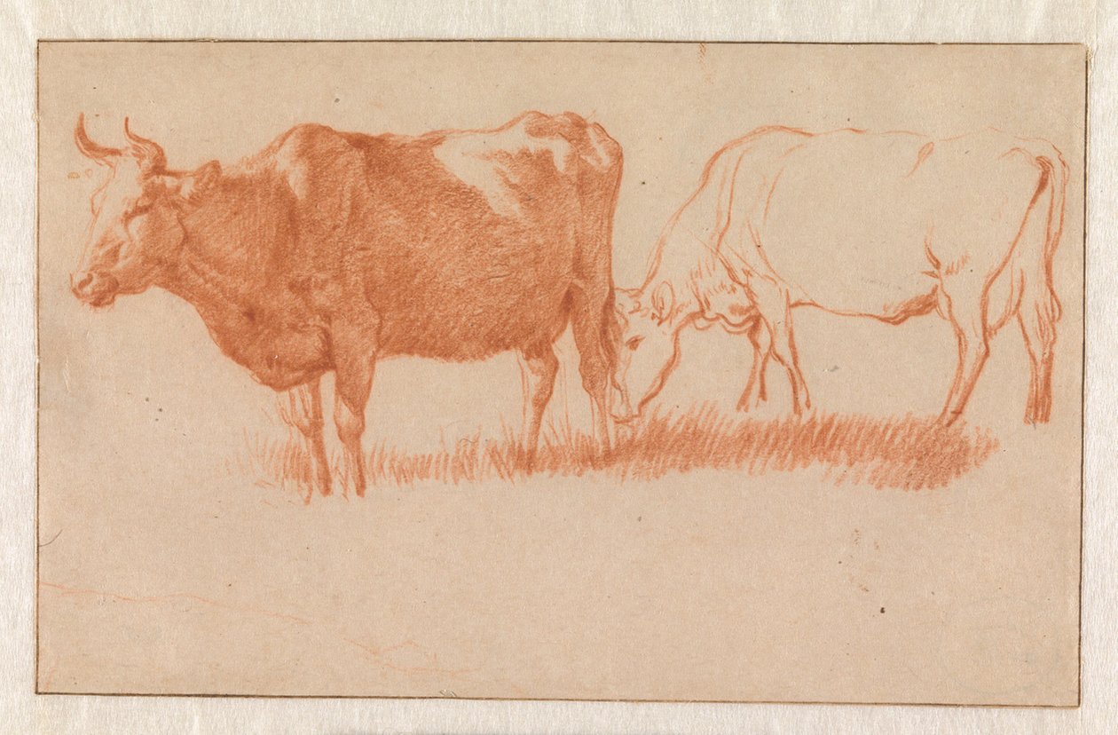 Due mucche da Adriaen van de Velde