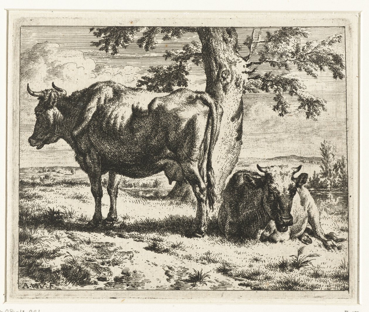 Due mucche sotto un albero da Adriaen van de Velde