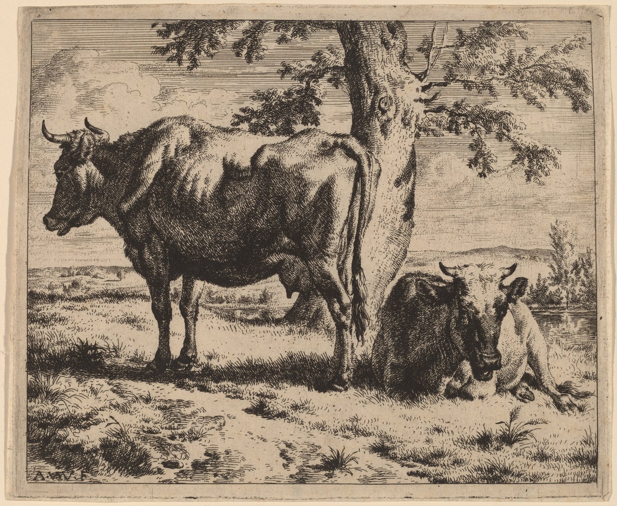 Due Mucche sotto un Albero da Adriaen van de Velde