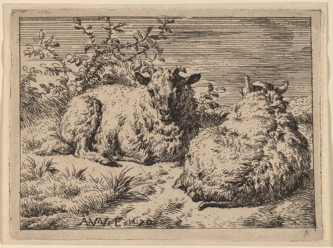 Due pecore sdraiate da Adriaen van de Velde