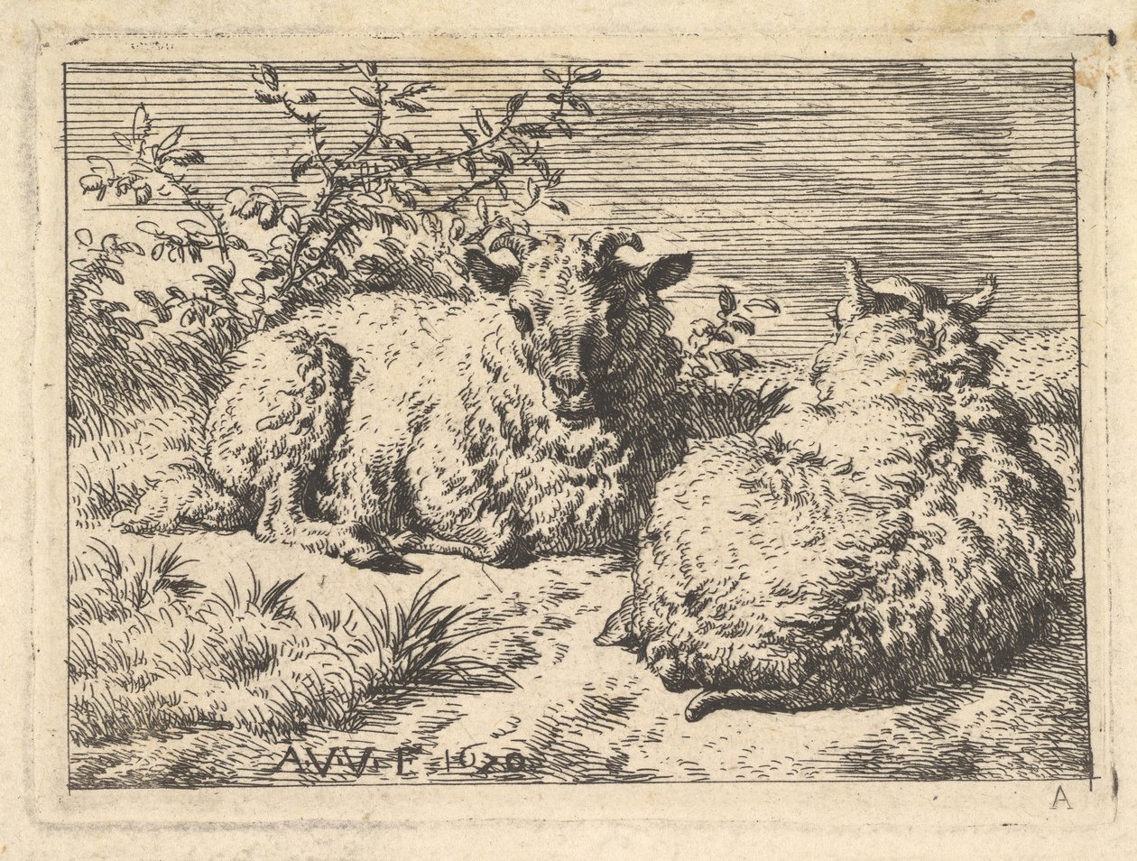 Due pecore sdraiate, 1670 da Adriaen van de Velde