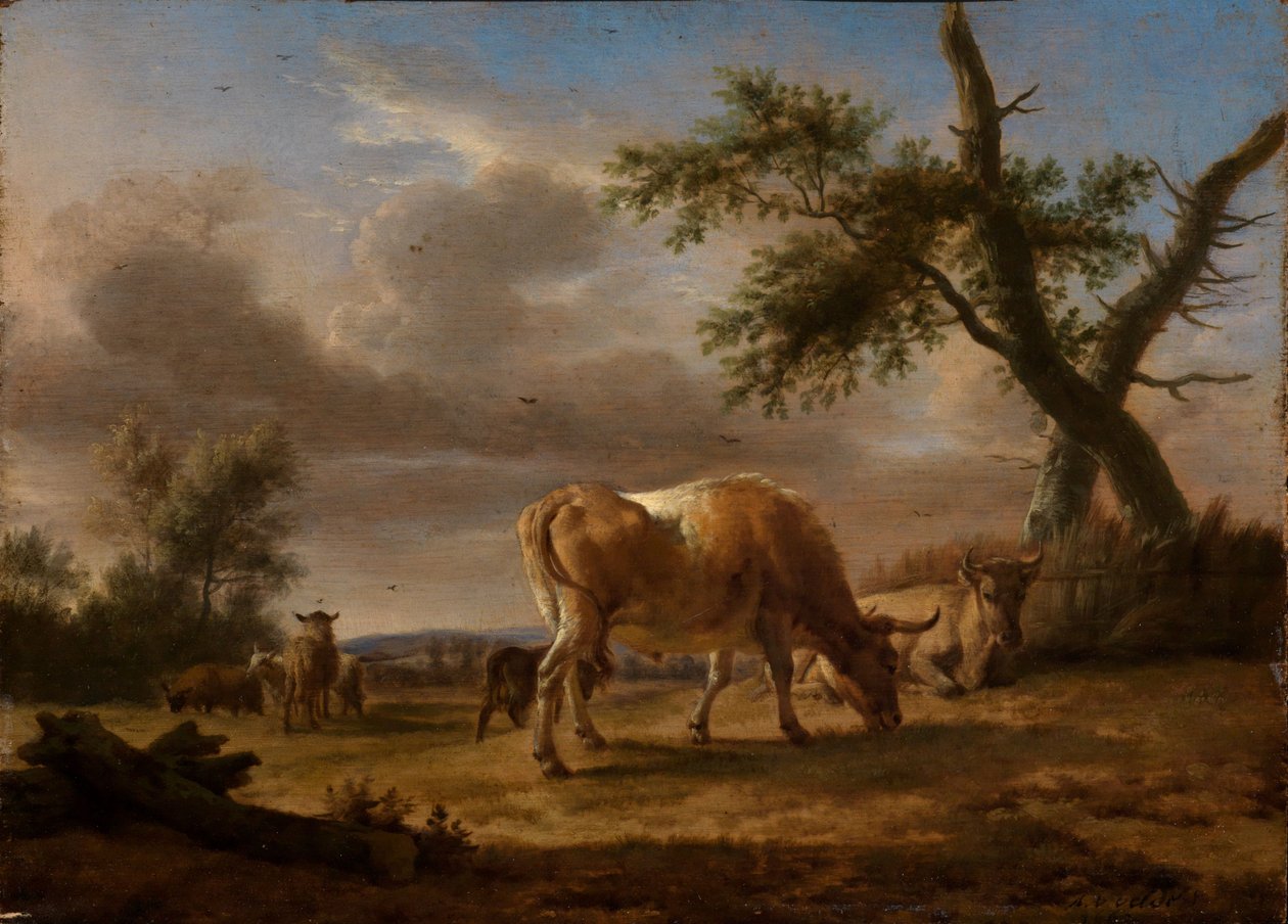 Bovini e pecore al pascolo da Adriaen van de Velde