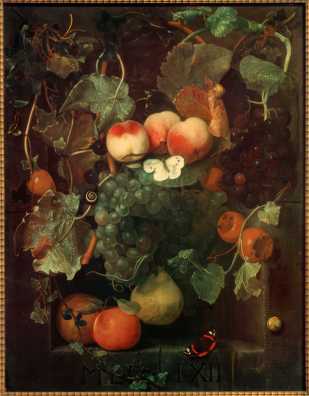 Natura morta con frutta, farfalle e lumache da Adriaen van der Spelt