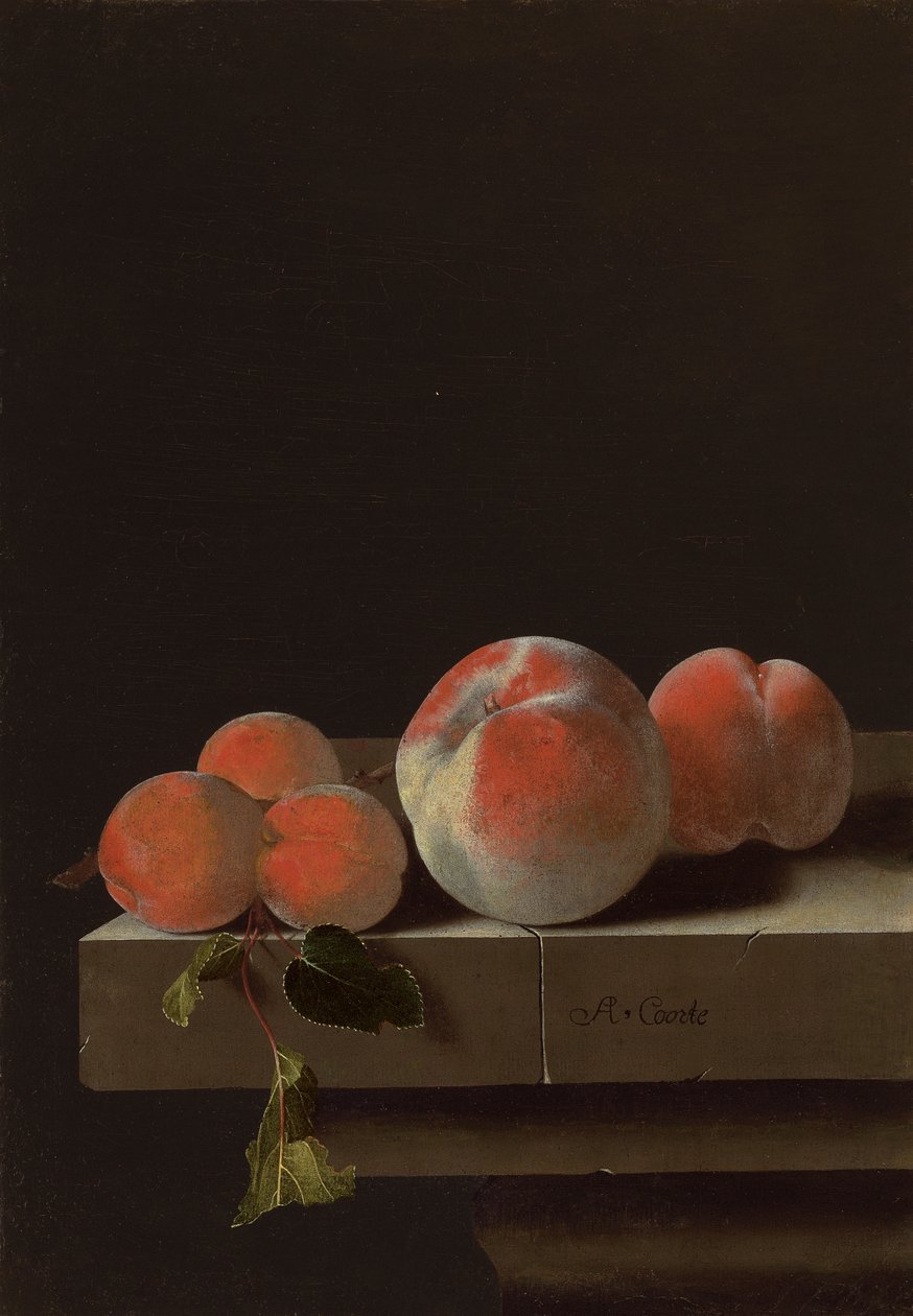Pesche e albicocche su un ripiano di pietra da Adrian Coorte