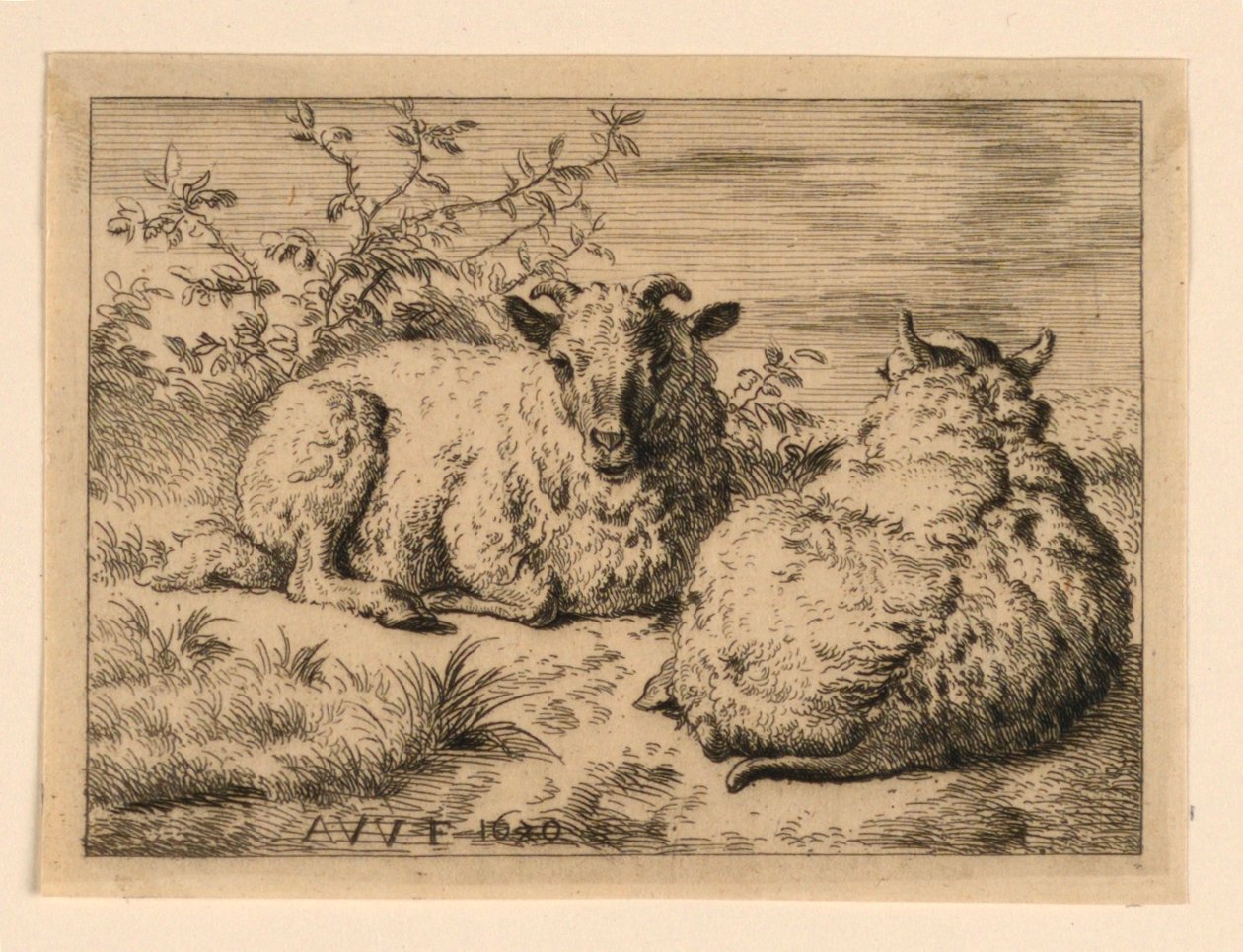 Le due pecore da Adrian van de Velde