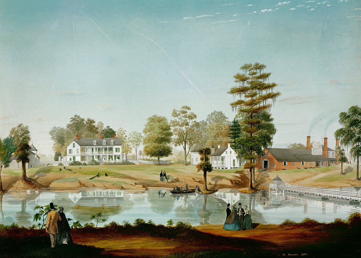 La piantagione Olivier, 1861 da Adrien Persac