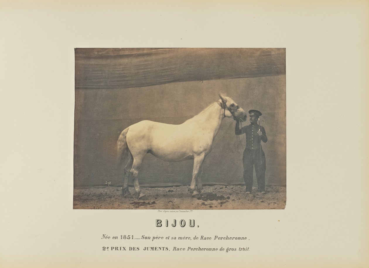 Bijou da Adrien Alban Tournachon