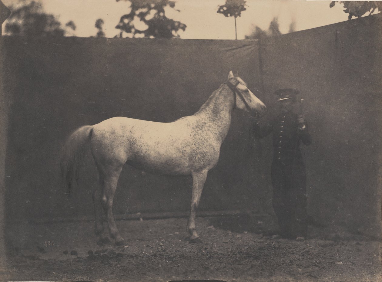 Pascaline, ca. 1855-60 da Adrien Alban Tournachon