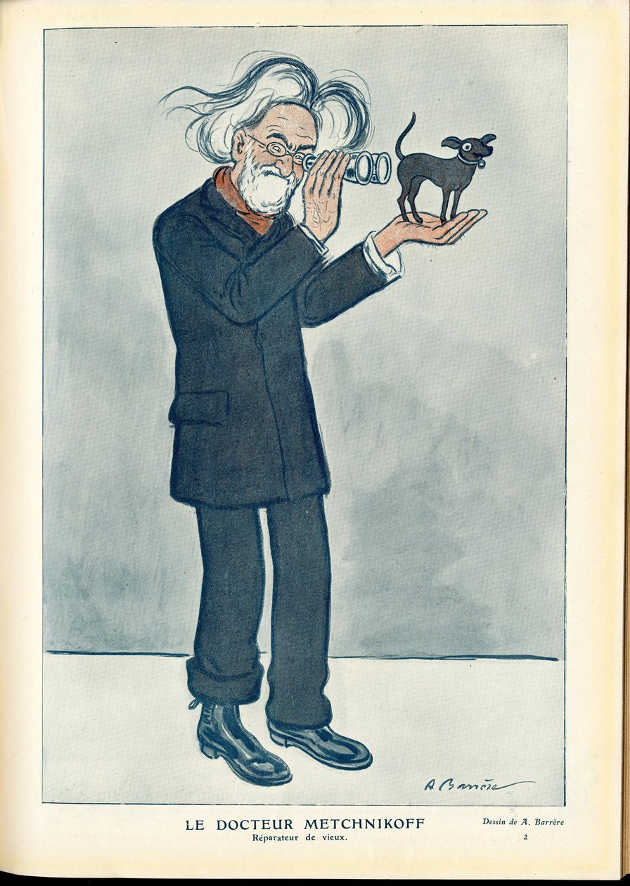 Fantasio da Adrien Barrere
