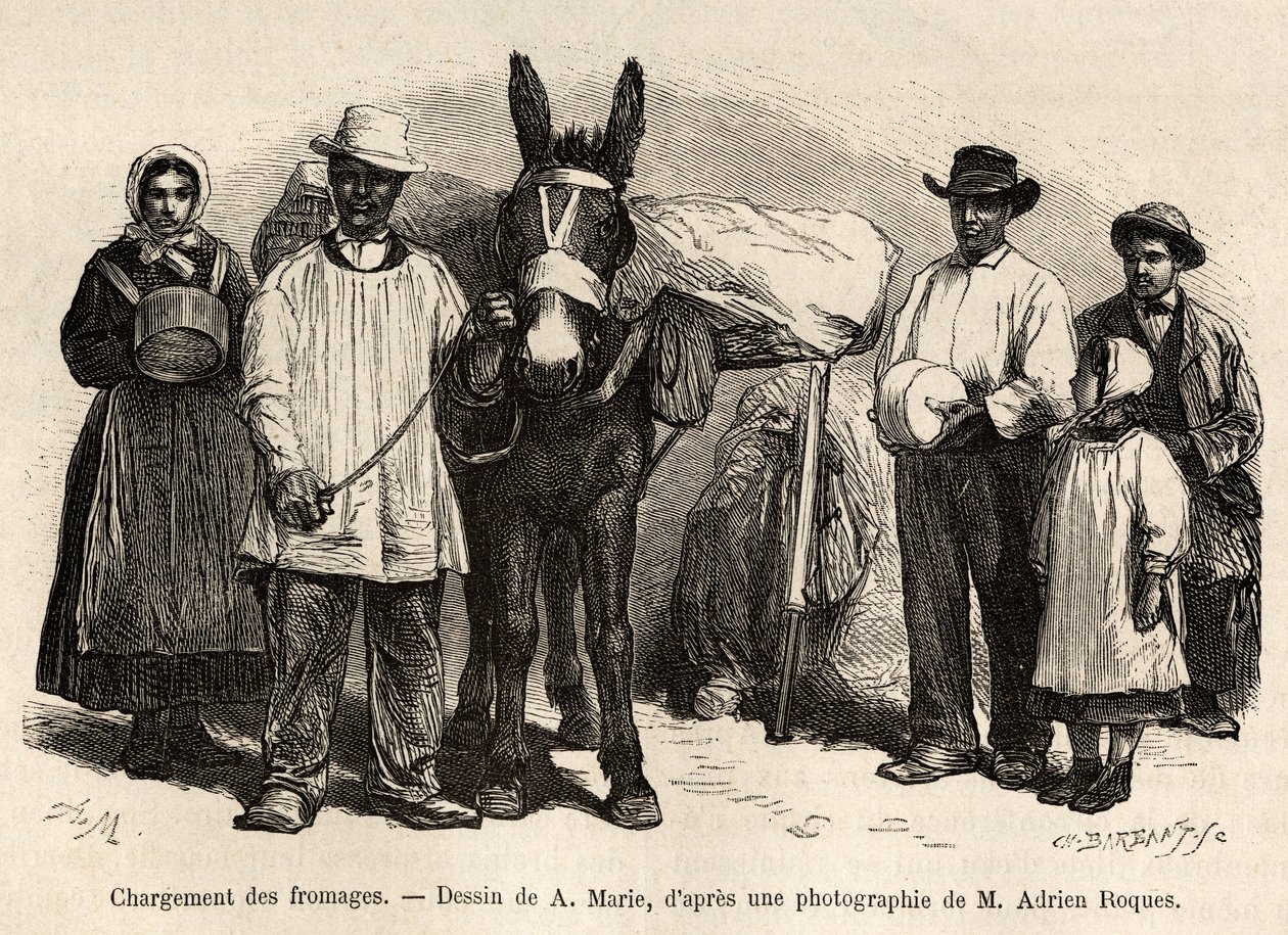 Il carico dei formaggi sul dorso di un mulo, verso le cantine di Roquefort, incisione dopo un disegno di A.Marie, illustrante un viaggio a Roquefort e dintorni, di Adrien Roques e Jules Charton, nel 1874, pubblicato in 