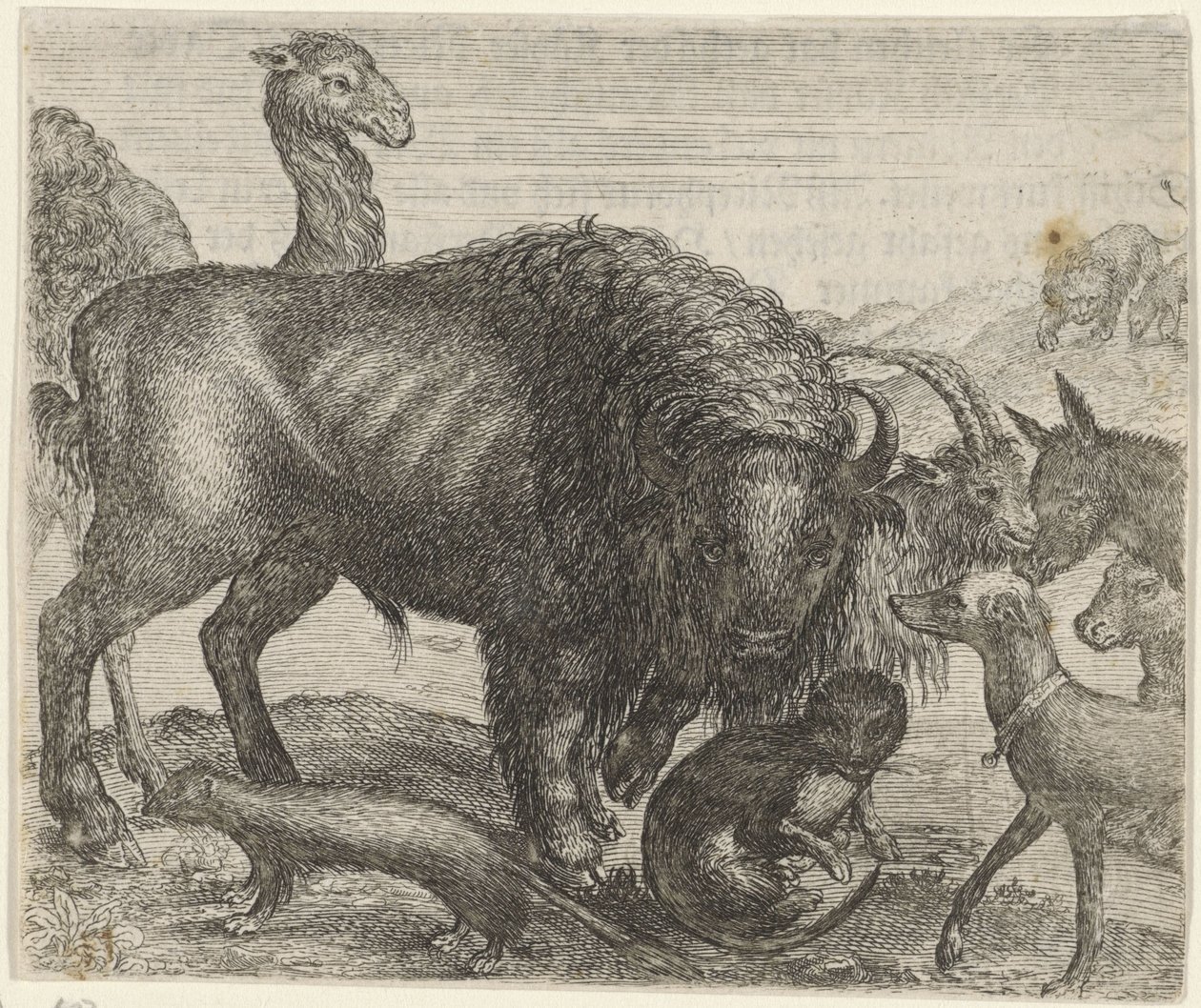 Favola del bisonte e degli altri animali da Egidius  Sadeler (II)