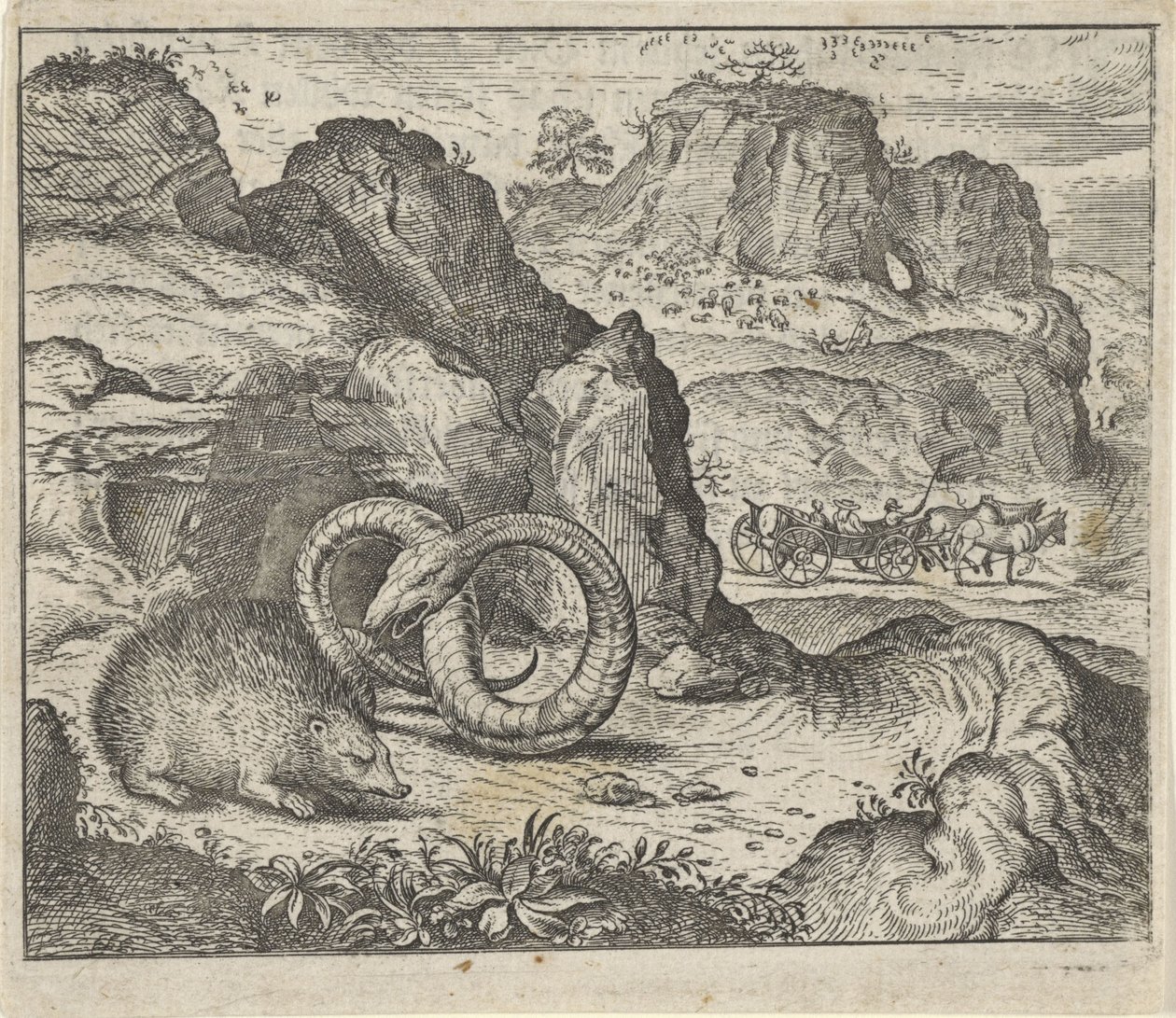 Favola del riccio e del serpente da Egidius  Sadeler (II)