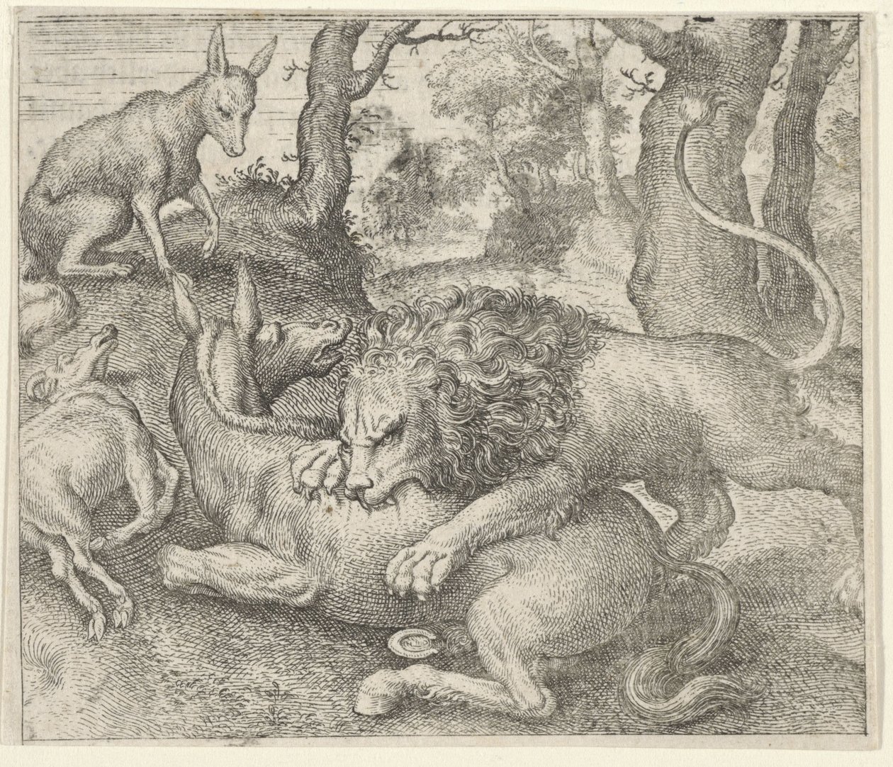 Favola del leone e della volpe da Egidius  Sadeler (II)