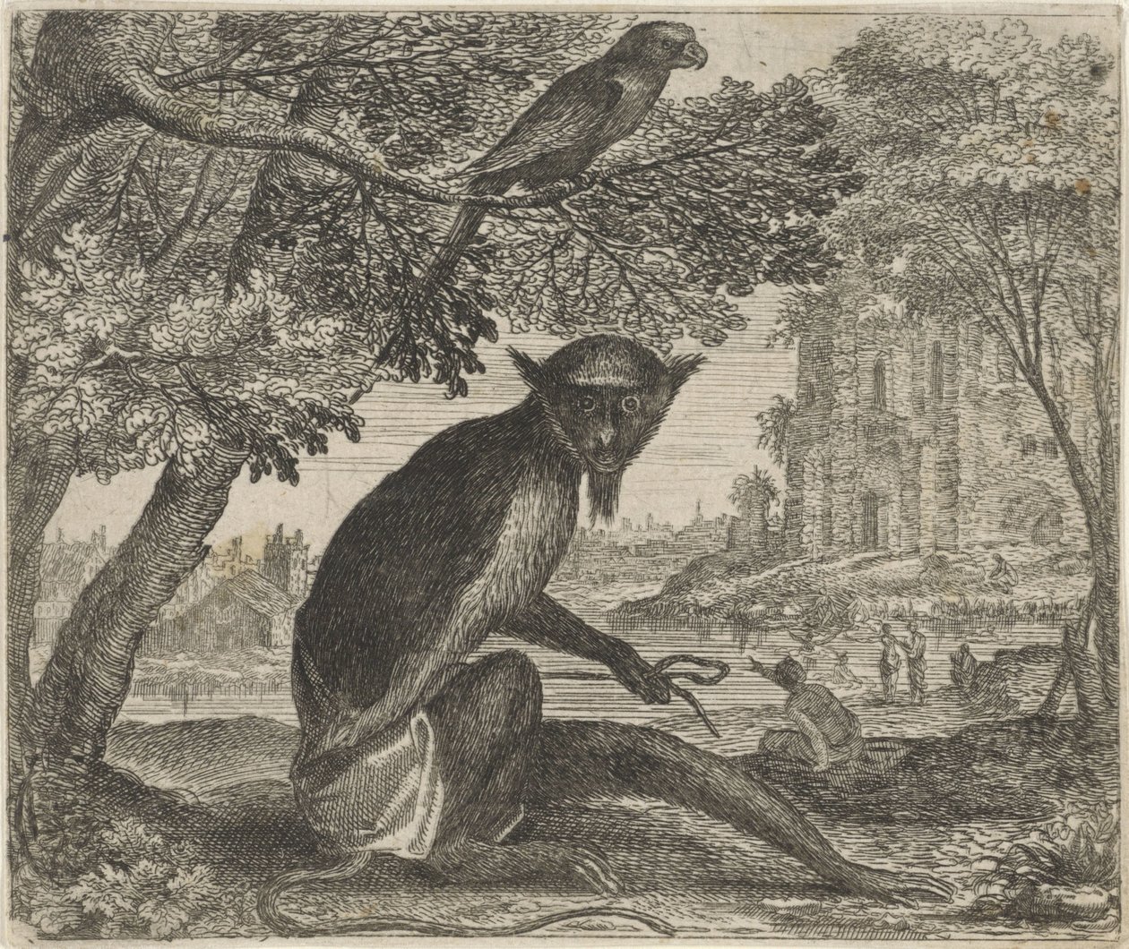 Favola del pappagallo e della scimmia da Egidius  Sadeler (II)