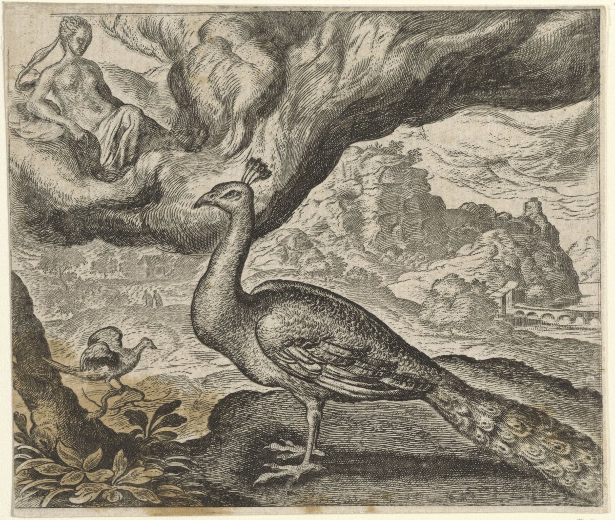 Favola del pavone e dell