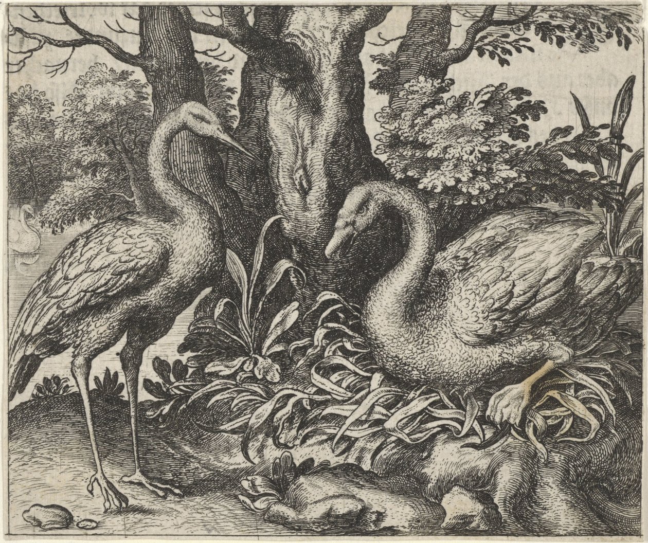Favola del cigno e della cicogna da Egidius  Sadeler (II)