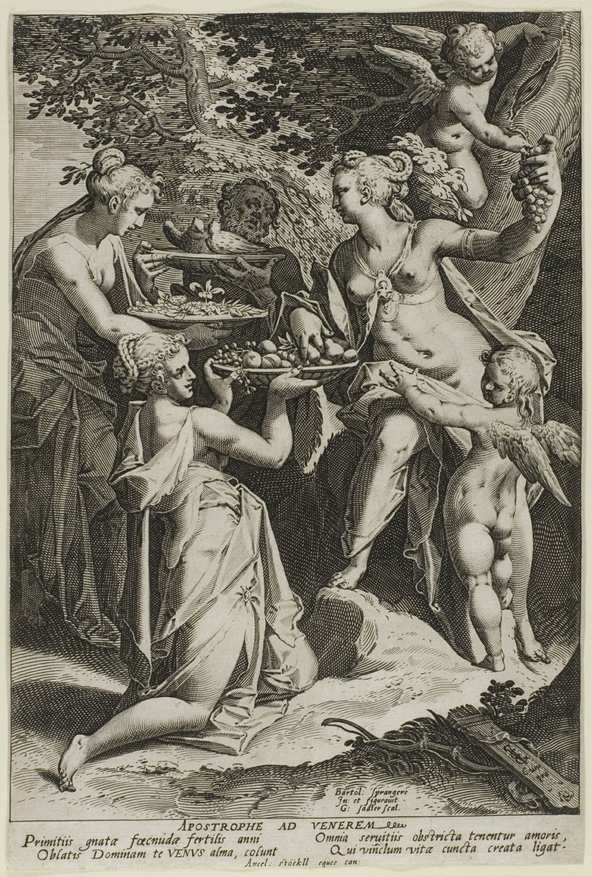 Venere che riceve i regali da Aegidius Sadeler II