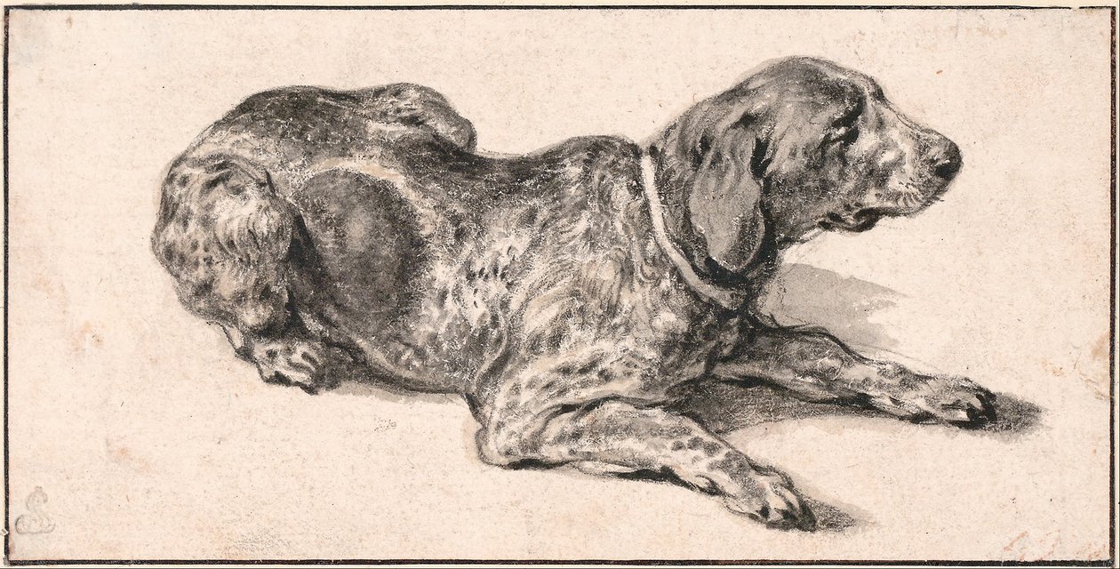 Cane sdraiato da Aelbert Cuyp