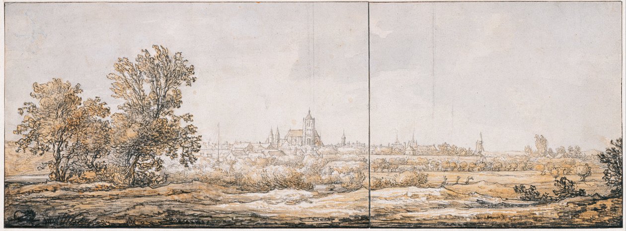 Veduta di Arnhem da sud da Aelbert Cuyp