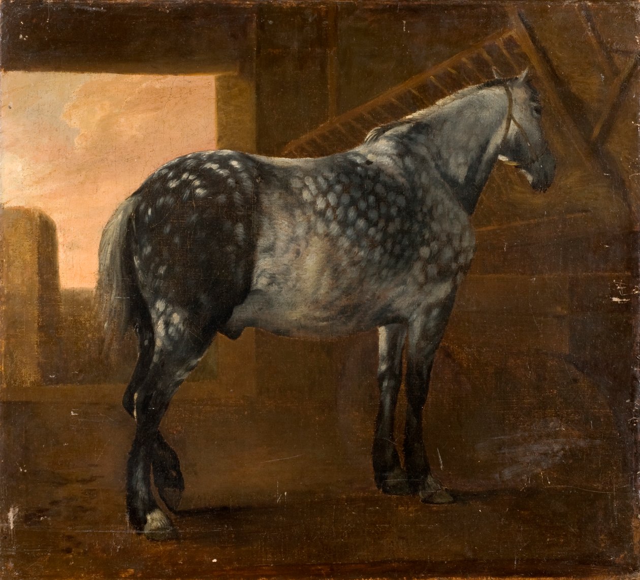 Un Cavallo Grigio Pomellato da Aelbert Cuyp