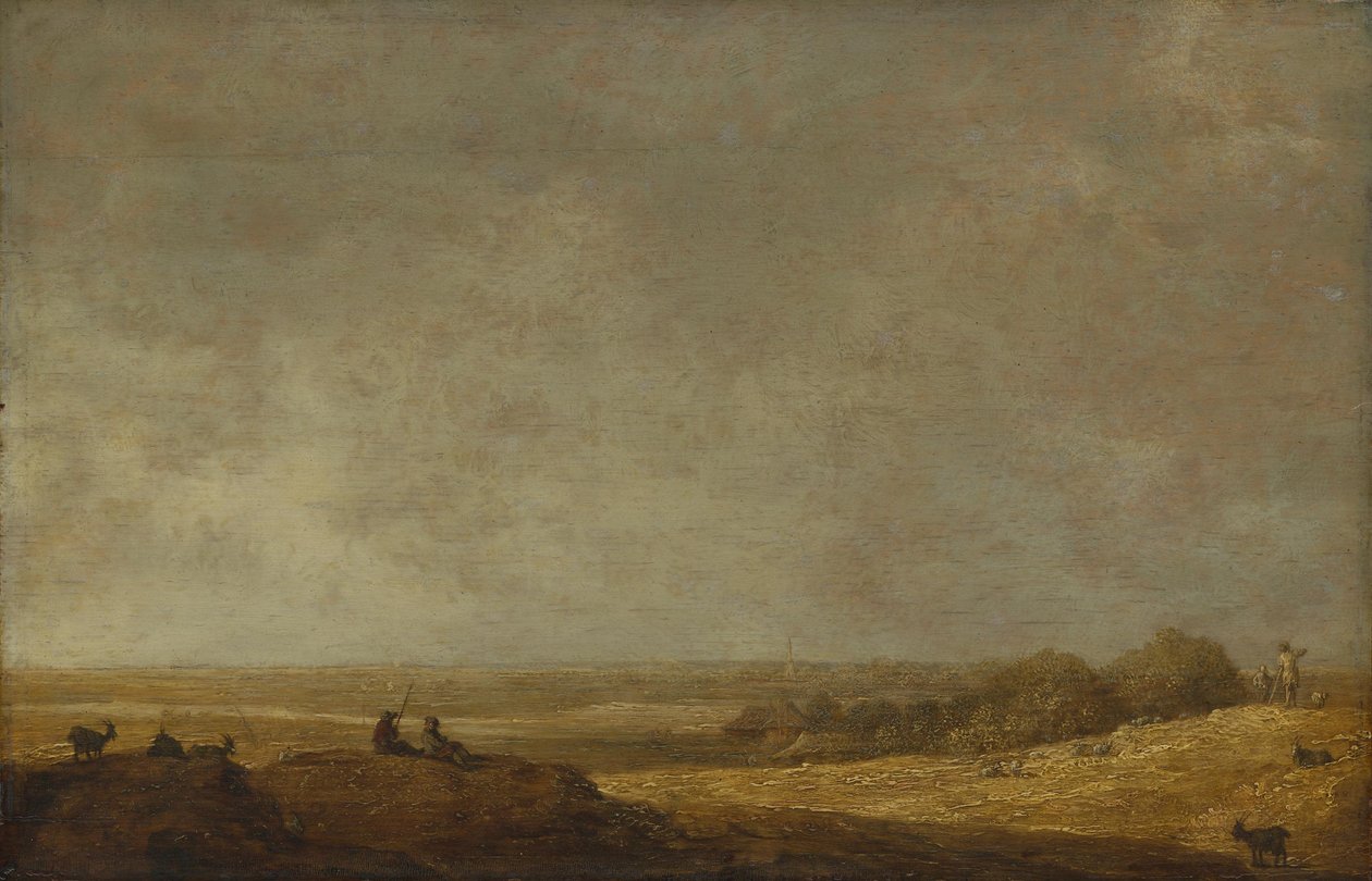 Paesaggio pianeggiante da Aelbert Cuyp