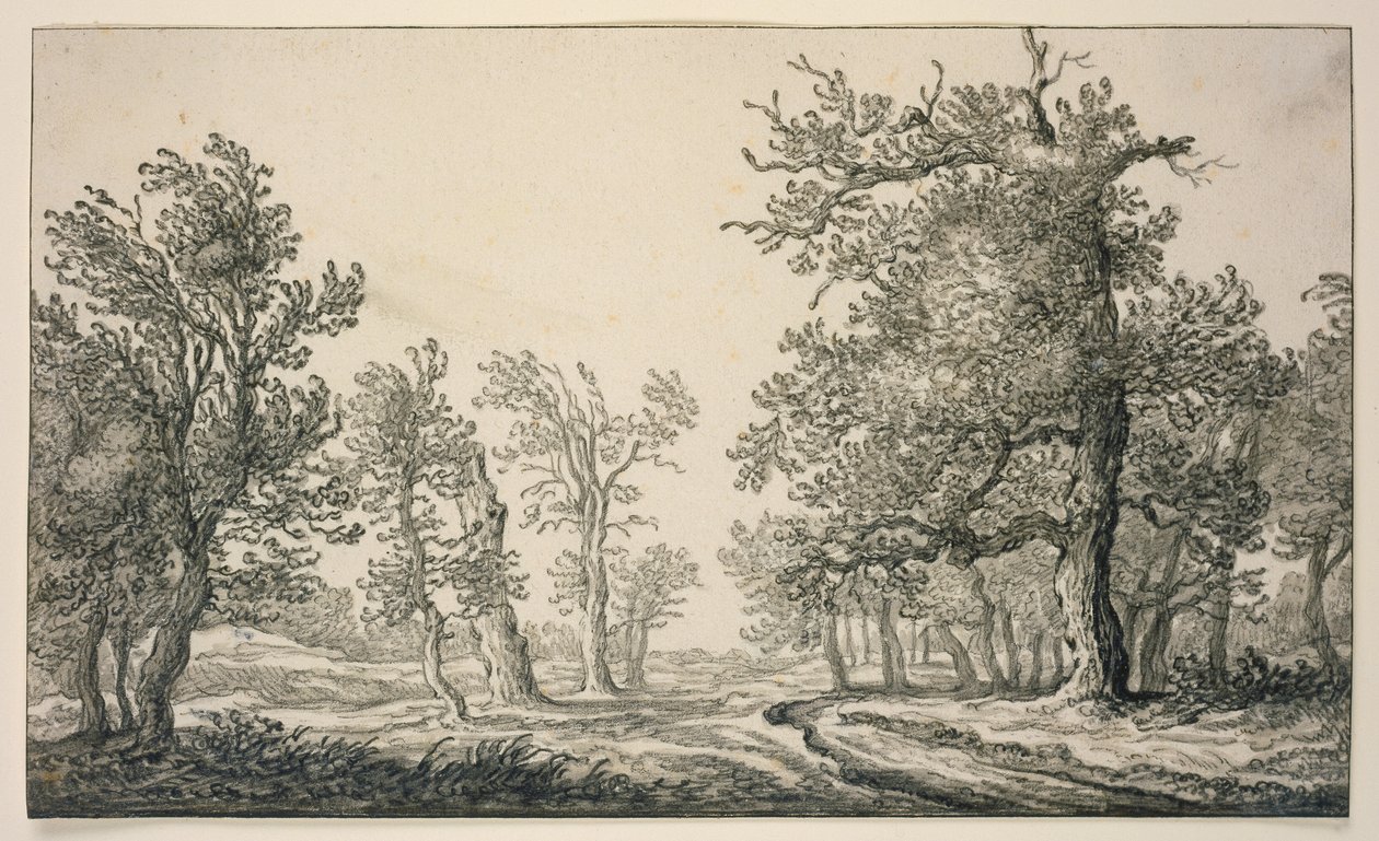 Sentiero attraverso un bosco di querce da Aelbert Cuyp