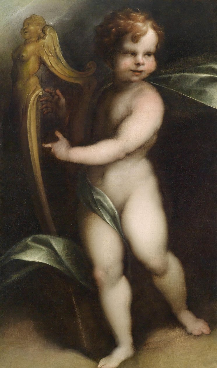 Putto che suona la lira da Aert Mijtens