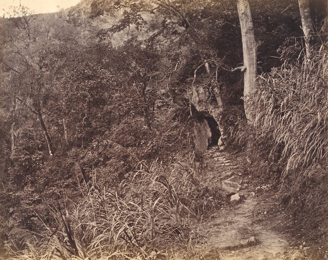 Strada sinistra fino al monastero di Yuen foo, ca. 1869 da Afong Lai