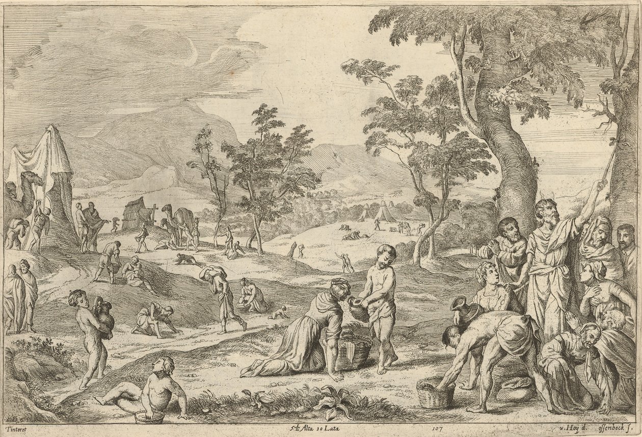 Israeliti che raccolgono la manna da After David Teniers the Younger