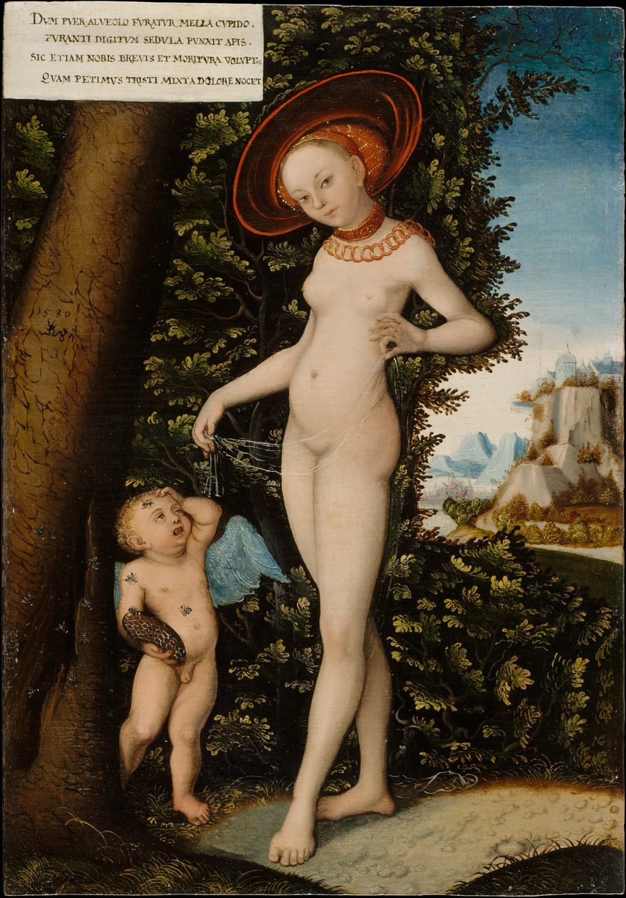 Venere e Cupido, il ladro di miele da after Lucas Cranach the Elder