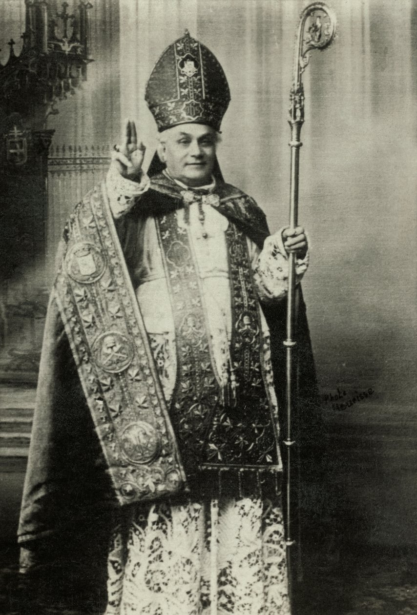 Ritratto del cardinale Louis Lucon (foto) da Agence Meurisse