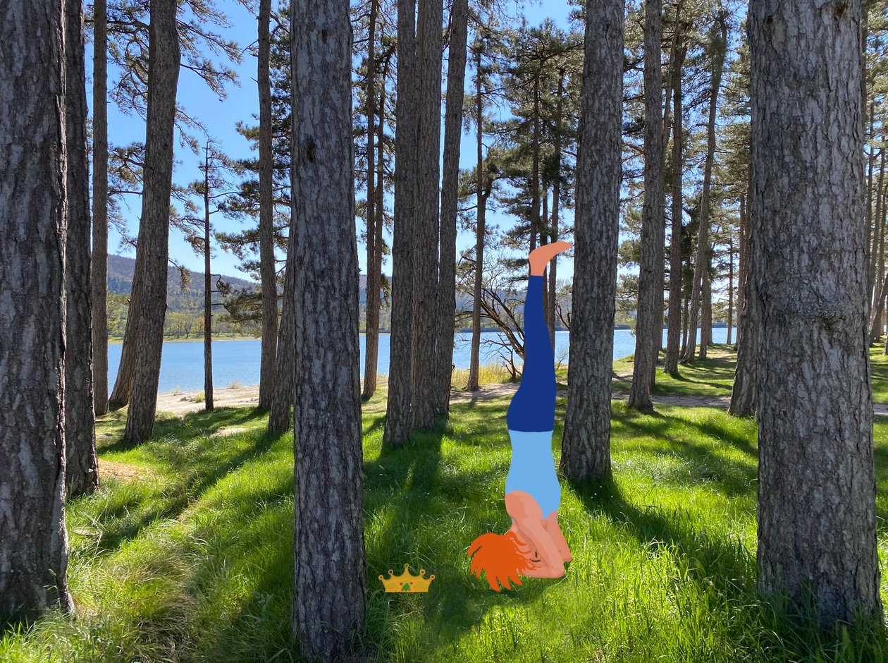 Sirsasana da Agnes Girardon