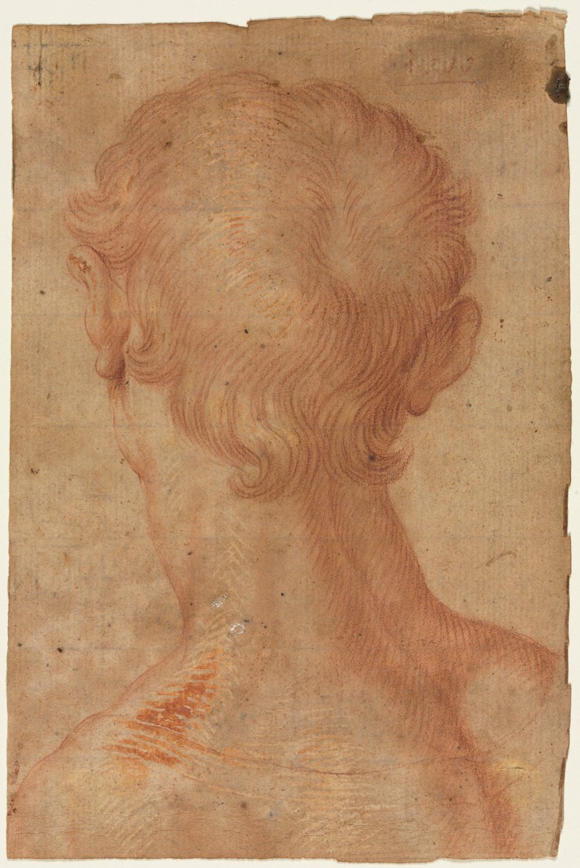 Männerkopf von hinten da Agnolo Bronzino