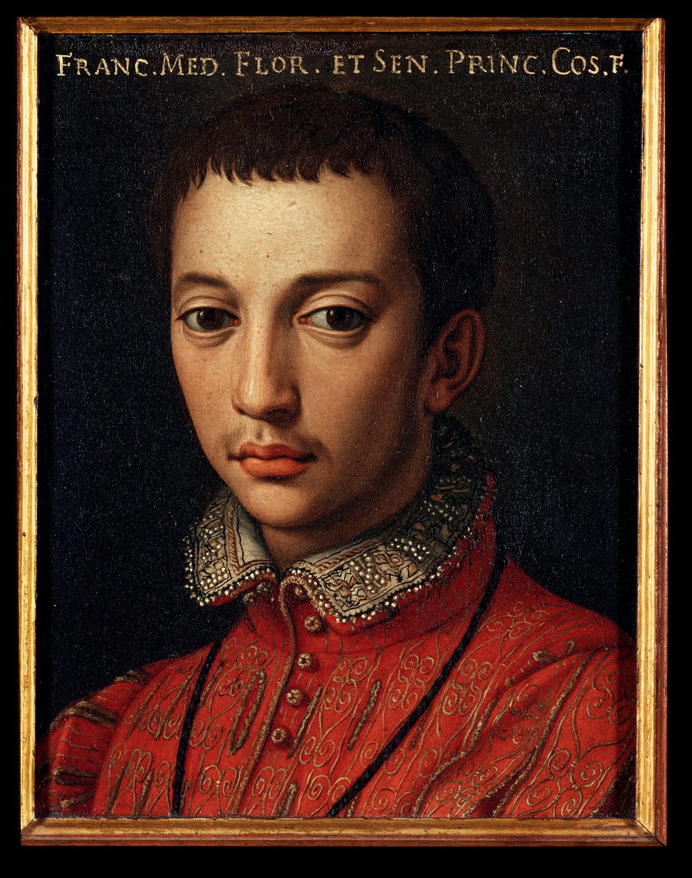 Ritratto di Francesco I de