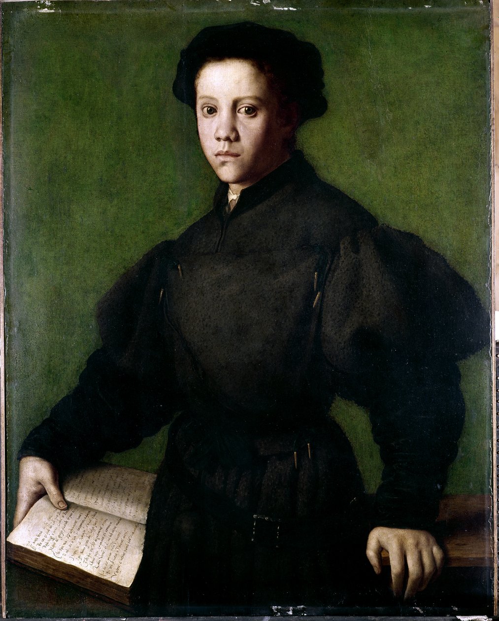 Ritratto di un ragazzo da Agnolo di Cosimo Bronzino