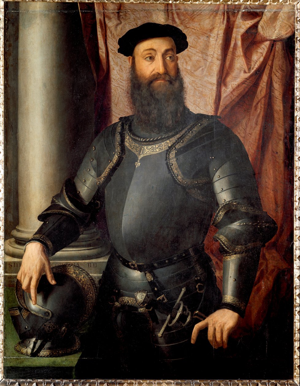 Ritratto del Condottiero Stefano Colonna da Agnolo Bronzino