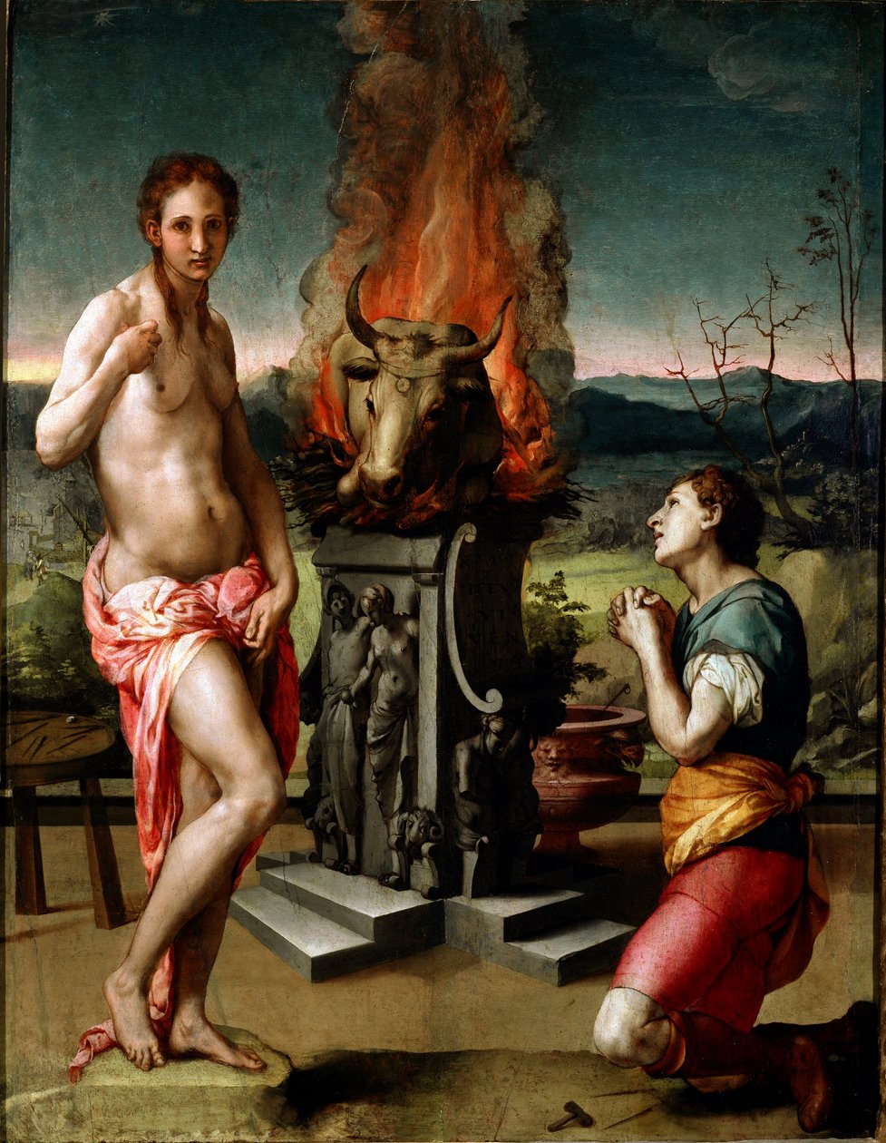 Pigmalione e Galatea da Agnolo Bronzino