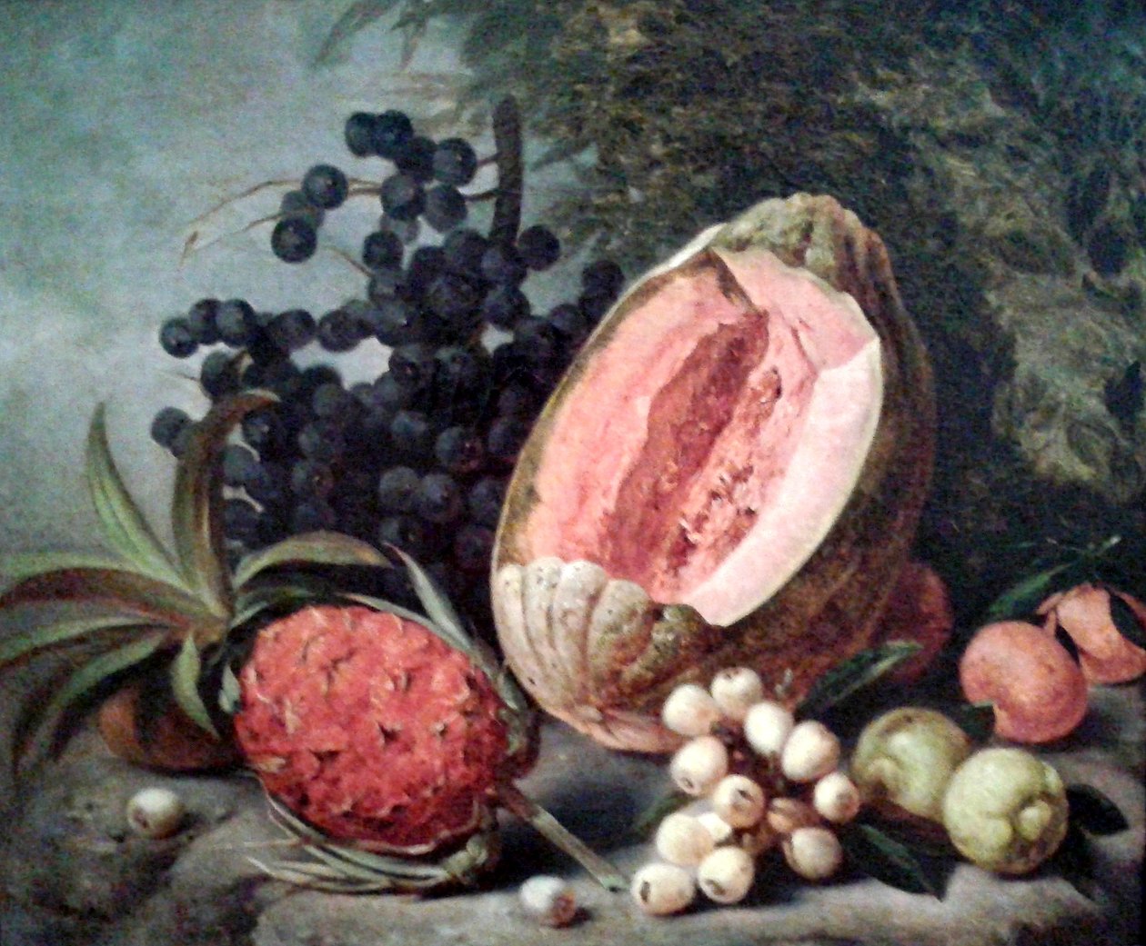 Zucca e ananas da Agostinho Jose da Mota