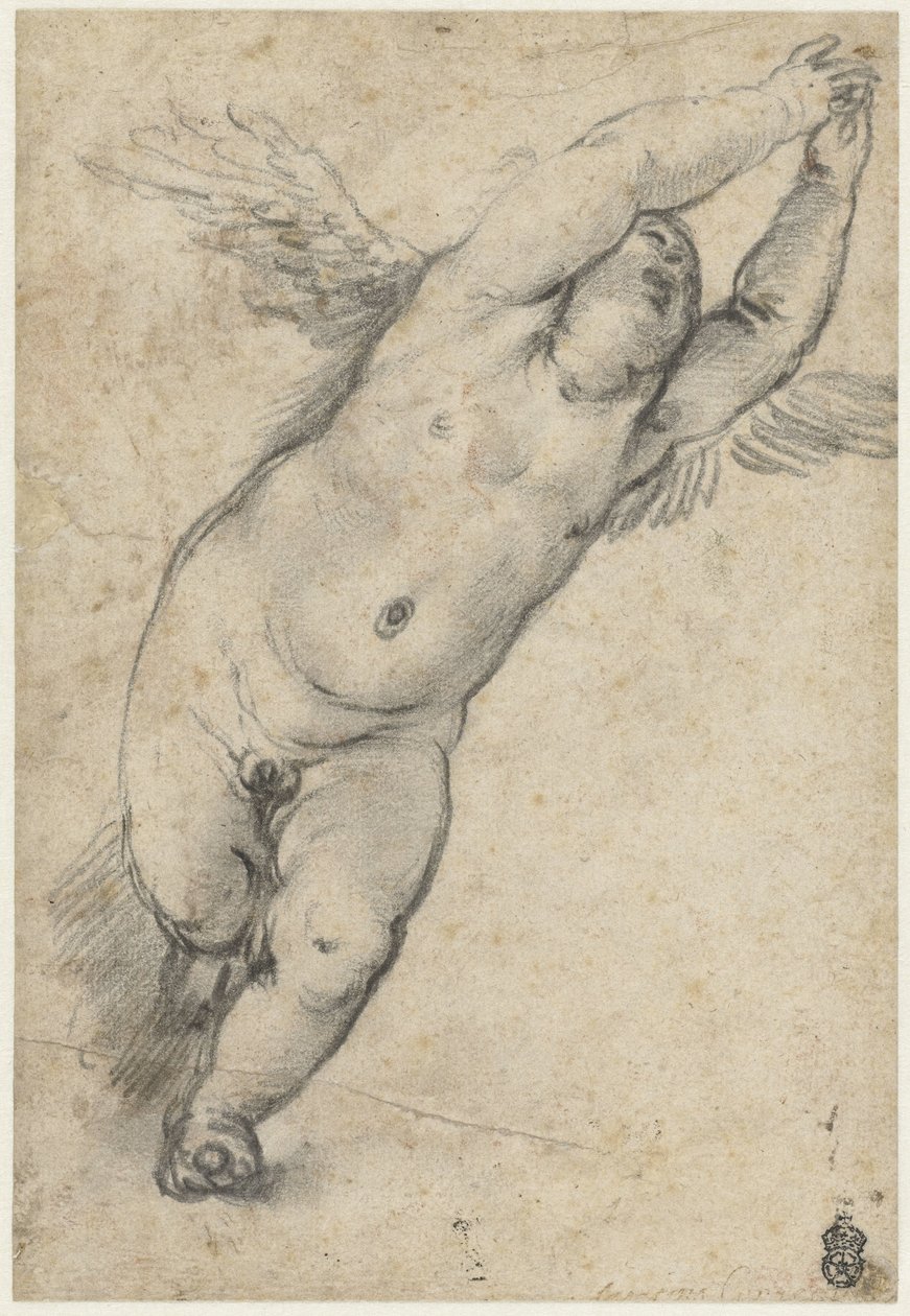 Putto volante con braccia sollevate da Agostino Carracci (attributed to)