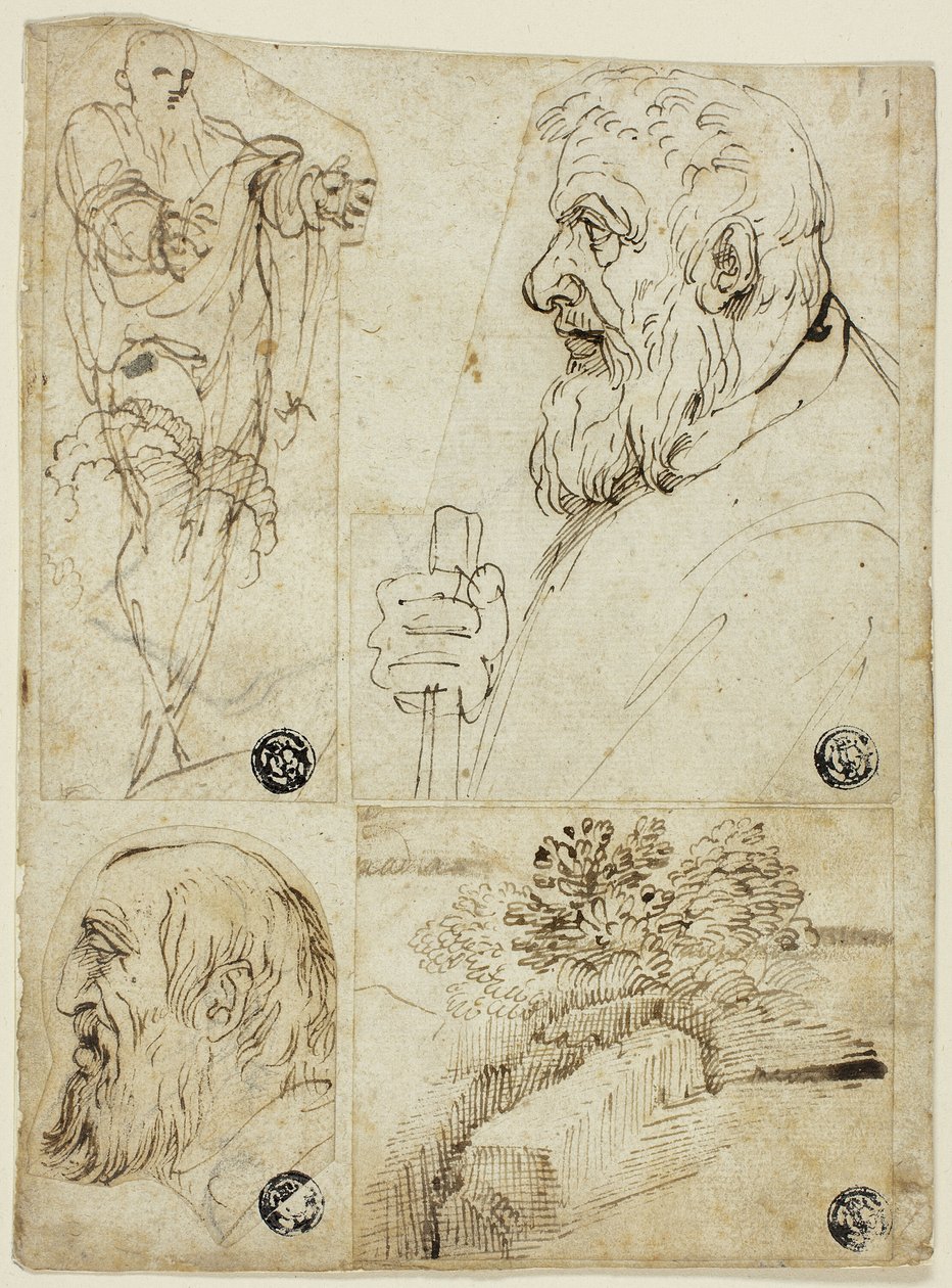 Quattro schizzi: Figura maschile in piedi; Busto di profilo di uomo barbuto; Testa di profilo di uomo barbuto; Paesaggio. da Agostino Carracci
