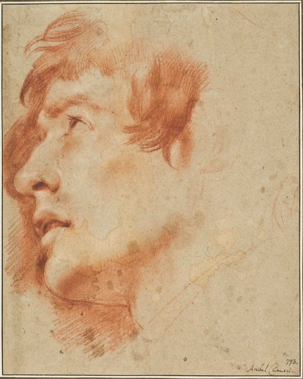 Testa di giovane uomo che guarda in alto da Agostino Carracci