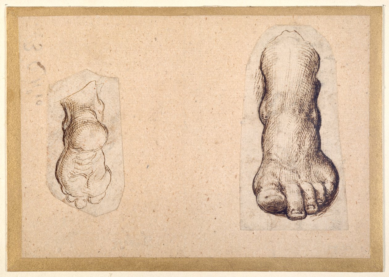 Due studi di un piede in scorcio da Agostino Carracci