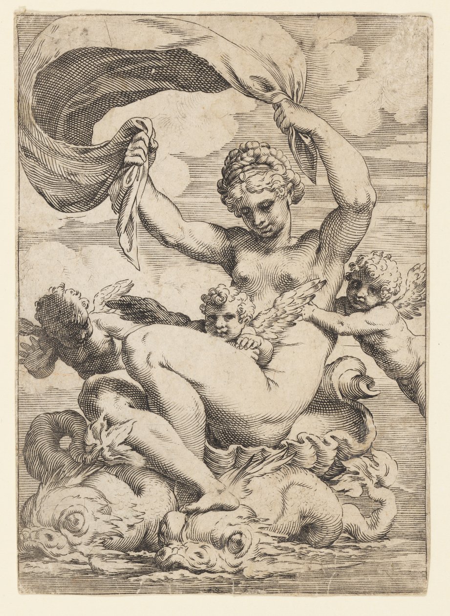 Venere (o Galatea) e Cupidi sostenuti da delfini da Agostino Carracci
