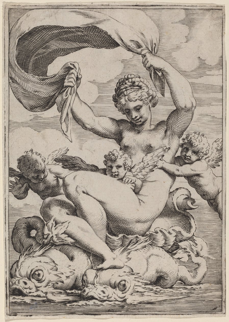 Venere o Galatea sostenuta dai delfini da Agostino Carracci