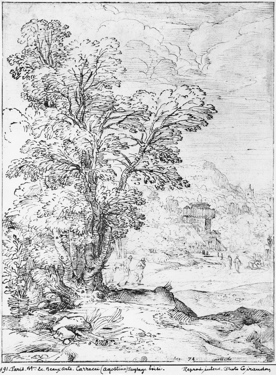 Paesaggio boscoso da Agostino Carracci