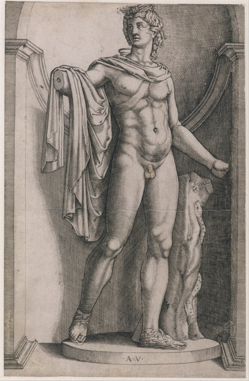 Speculum Romanae Magnificentiae: Apollo del Belvedere, ca. 1514-36 da Agostino Veneziano