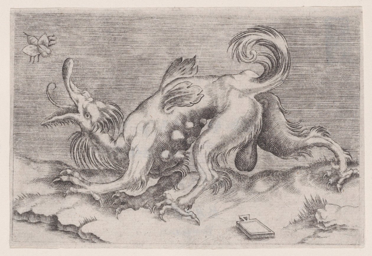 Il drago e l