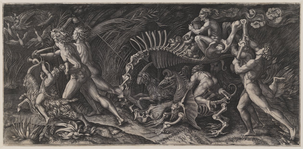 La carcassa ("Lo Stregozzo") da Agostino Veneziano