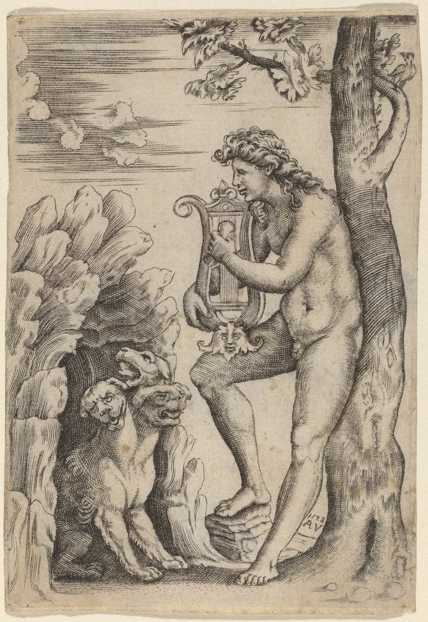 Orfeo da Agostino dei Musi