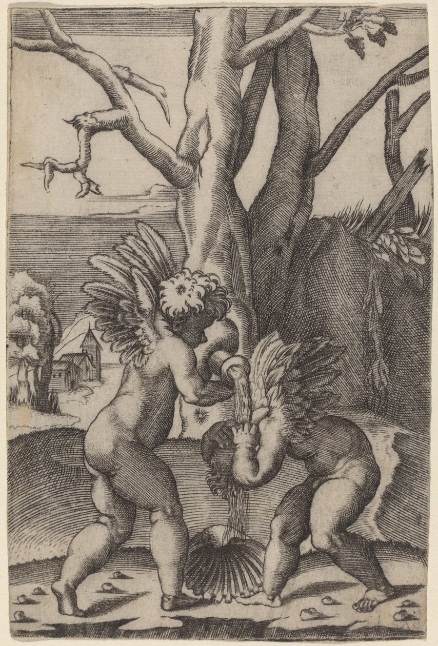 Due Amori da Agostino dei Musi after Raphael